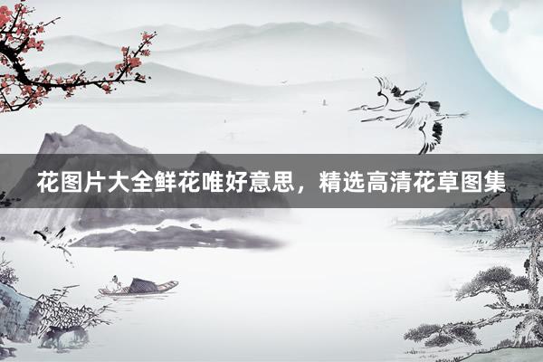 花图片大全鲜花唯好意思，精选高清花草图集