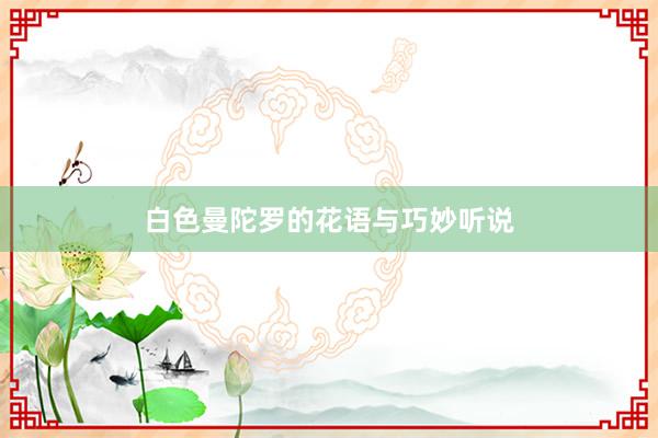 白色曼陀罗的花语与巧妙听说
